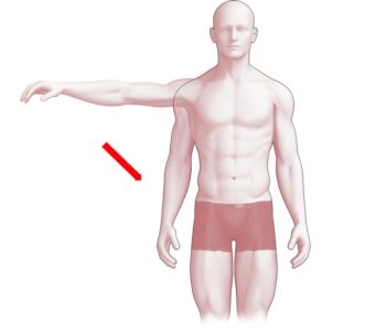 Armen Adductie beweging