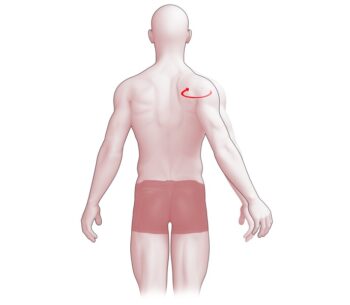 Schouder Retractie beweging